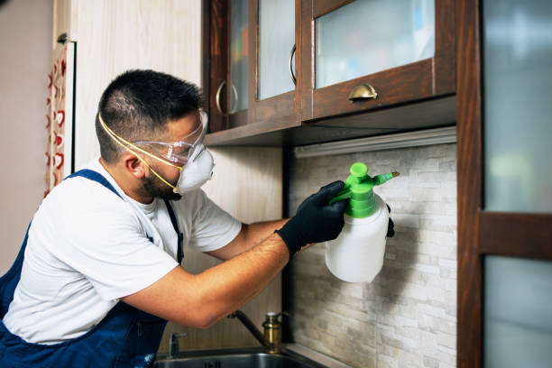 Pest Control Cost in Holts Summit, MO