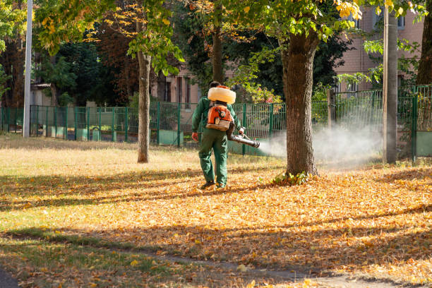 Best Wildlife Control Services  in Holts Summit, MO
