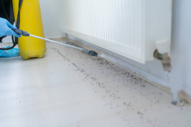 Pest Prevention Services in Holts Summit, MO
