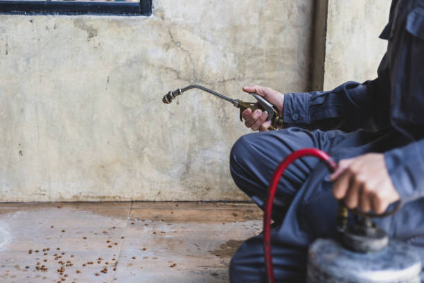 Wasp Removal Services in Holts Summit, MO